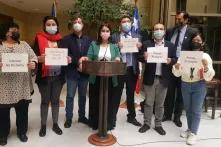 presentación diputada