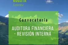 Convocatoria auditora