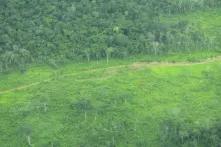 Agua y deforestación 