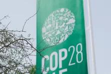 COP 28