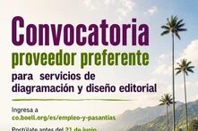 Proveedor diagramación 
