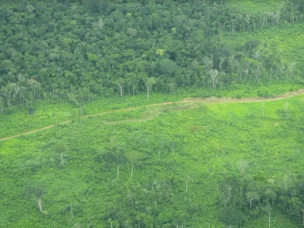 Agua y deforestación 