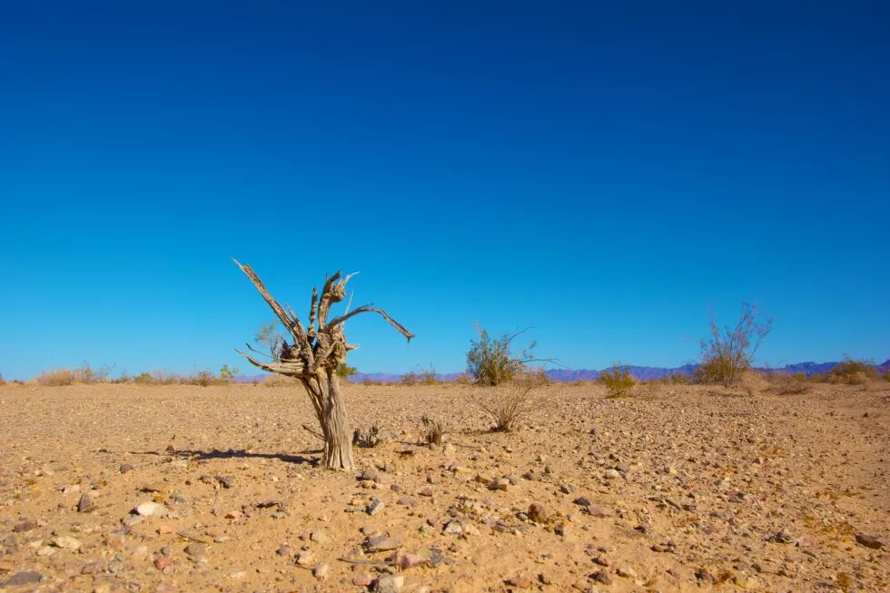 crisis climática