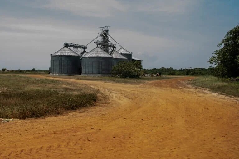 Caminos de servidumbre dentro de la colonia menonita
