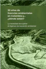 30 años de licencias ambientales en Colombia y…¿dónde están? La necesidad de superar el régimen de transición